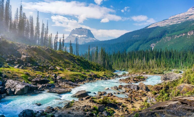 A river winding through a forested mountain valley